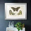 «Crackled Butterflies I», impression sur papier-266863428-266863450