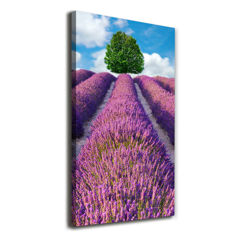 Lavender Field - Wrapped Canvas Print