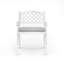 Candi Patio Dining Armchair with Cushion-154027140