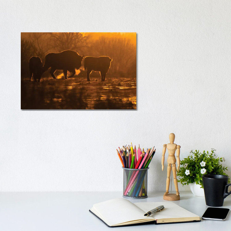 Bison 1 Piece Wrapped Canvas Wall Art, 20.32 cm H x 30.48 cm W