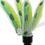 Piquets de jardin à fibre optique Exhart