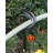 Hose Holder