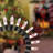 1'' String Lights-1444516032