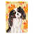 Black/White Cavalier Spaniel