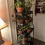 Jenavee 5-Tiered Plant Stand 52.4H