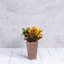Pot à fleurs avec égouttoir Sewstone Artstone-1328659550-1328659551