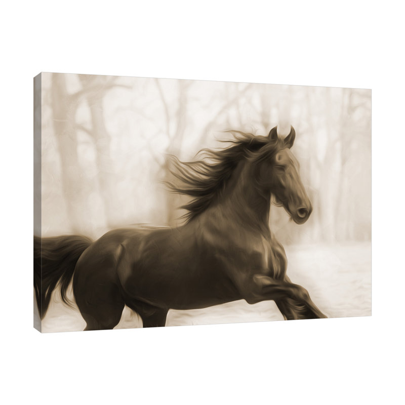 «Horse In The Wind» par Milli Villa - reproduction d'art sur toile tendue, H 24 po x l 32 po x P 1,5 po