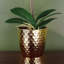 Plastic, Silk Artificial Arrangement in Pot-107235547