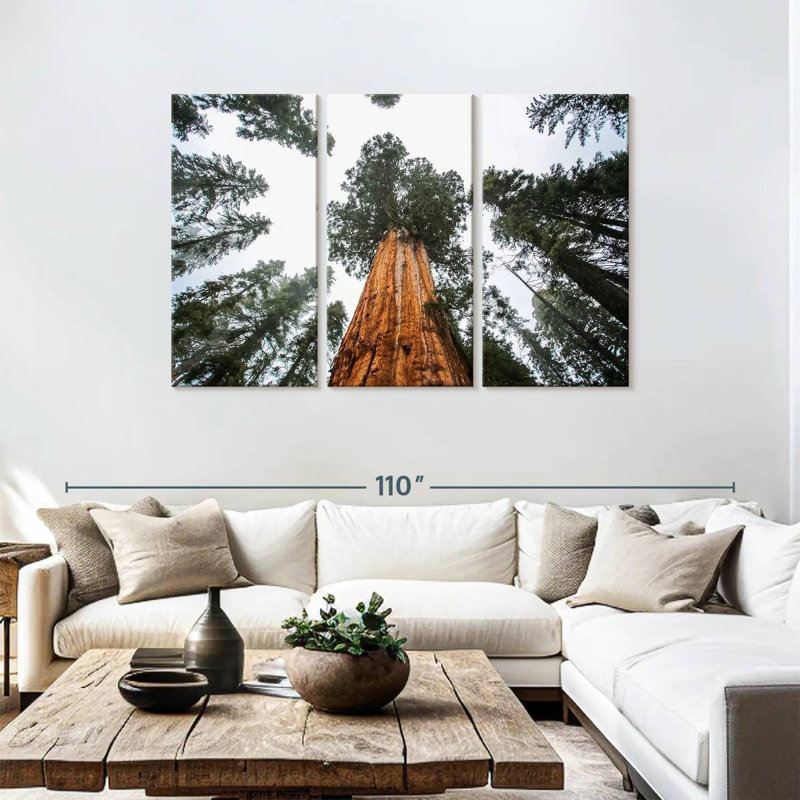 Harnek Giant Sequoias, 48" H x 74" W