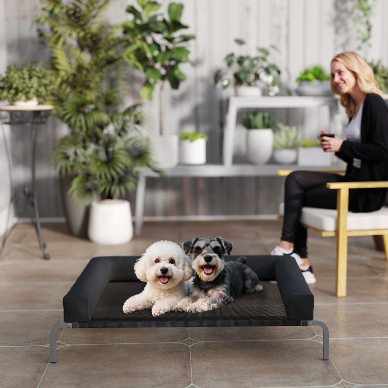 Polyester Pet Bed, 30cm H x 110cm W x 75cm D