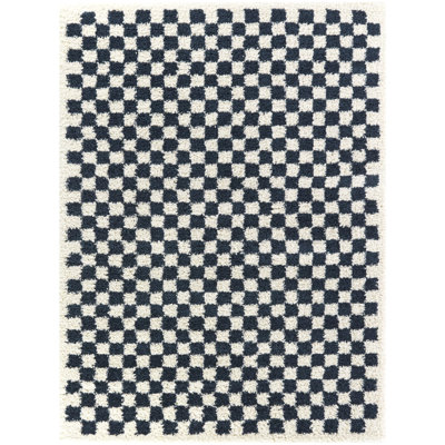 Barrile Chequered Machine Woven Area Rug