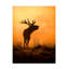 Art sur toile «Bachelor Kieran O Mahony Morning Call»-105648634