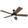 Ventnor 52" Ceiling Fan with LED Lights