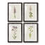 Mauve Garden Flowers I - ensemble de 4 peintures encadrées-1257449929-1257449931