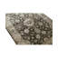 Oriental Area Rug in Brown/Cream