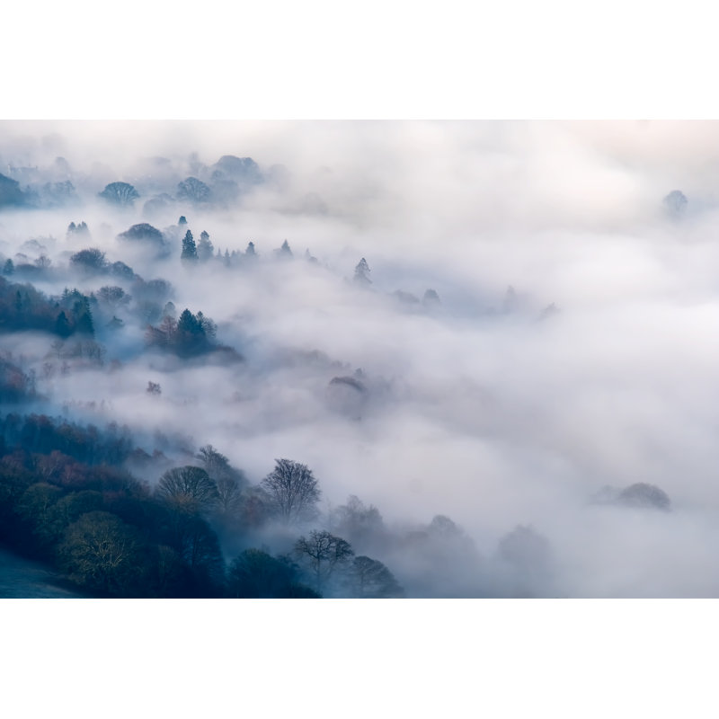 Misty Dawn by Bribar, 8" H x 12" W