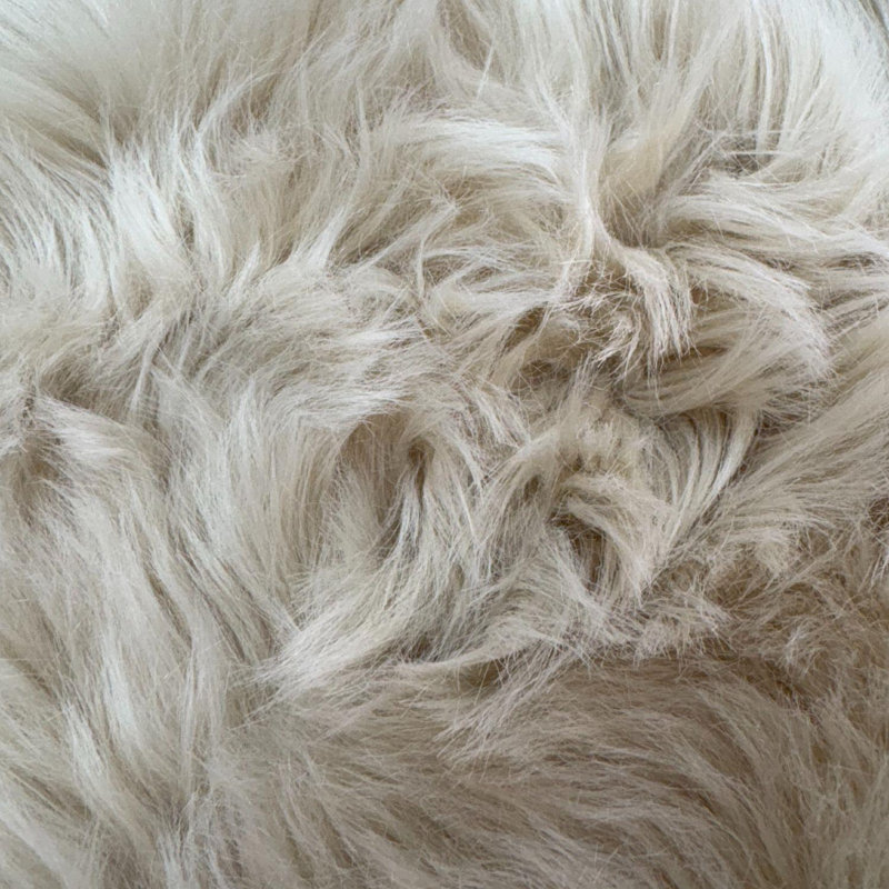 Area Rug