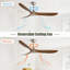60 Inch Outdoor Ceiling Fan Without Light 3 ABS Blade With Smart APP Control