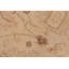 Tapis oriental brun clair en laine noué à la main 9 pi x 12 pi Dorr
