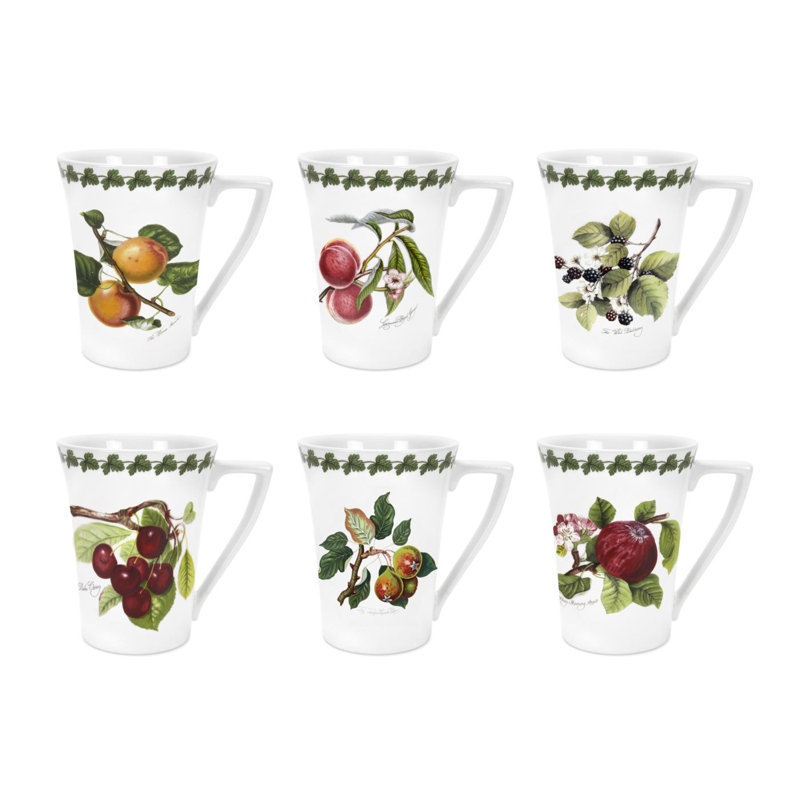 Pomona 6 Piece Mugs Set