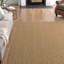 Babson Solid Colour Indoor / Outdoor Area Rug-23990260