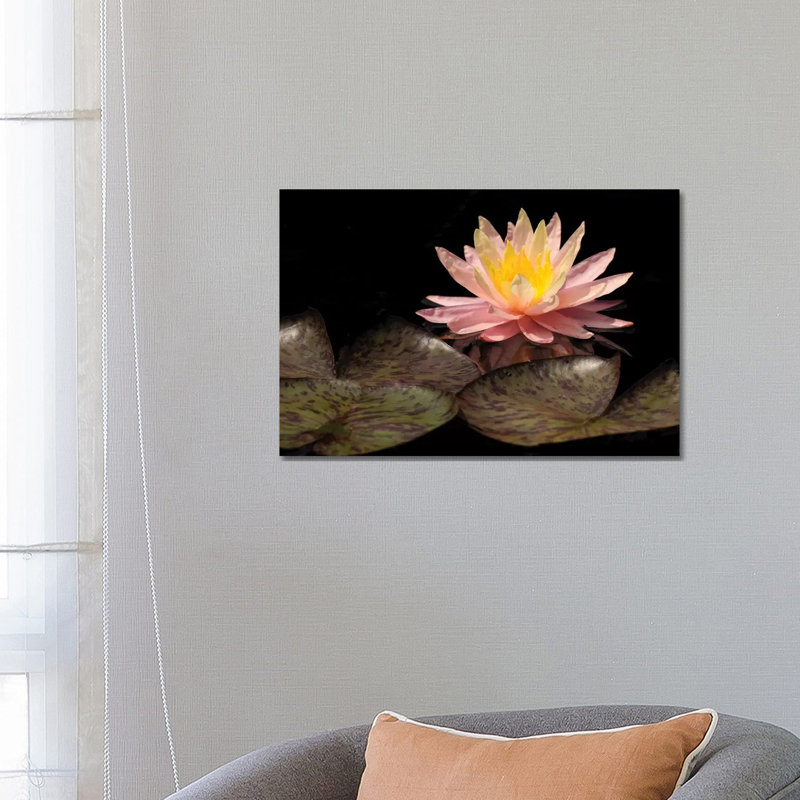 Pink Lily by Brian Wolf - Wrapped Canvas Print