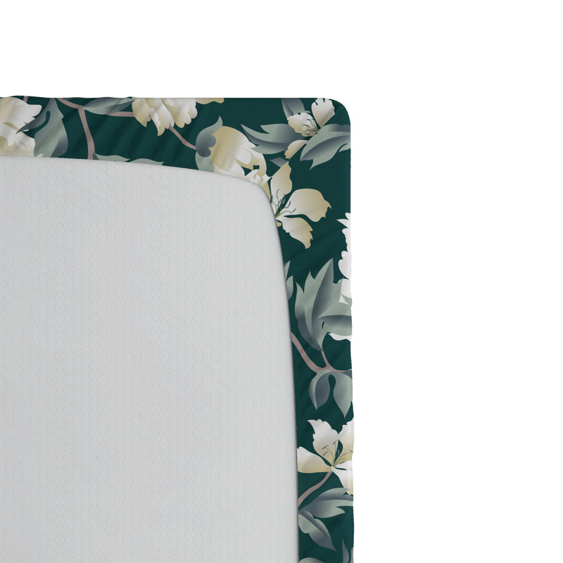 Drap-housse Ambesonne, Drap-housse pour lit simple TG, Crème, vert laurier / floral
