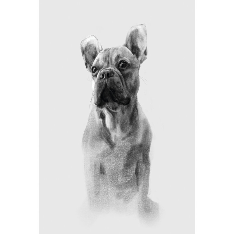 Pug Portrait I by Emma Caroline - Wrapped Canvas Painting, 30cm H x 20cm W