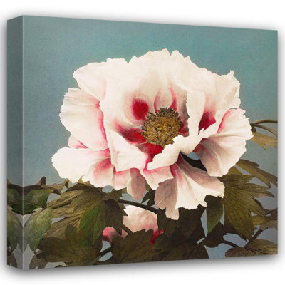 «Red Barrel Studio® Kazumasa», art sur toile tendue par Ogawa Gallery: Tree Peony II