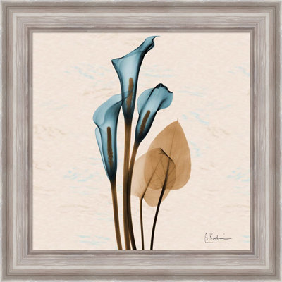 "Calla Lily Blue Brown" par Albert Koetsier - Cadre photo unique, impression