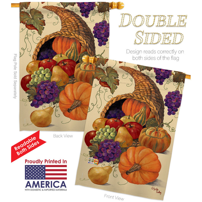 Double Sided 40'' H x 28'' W Polyester House Flag