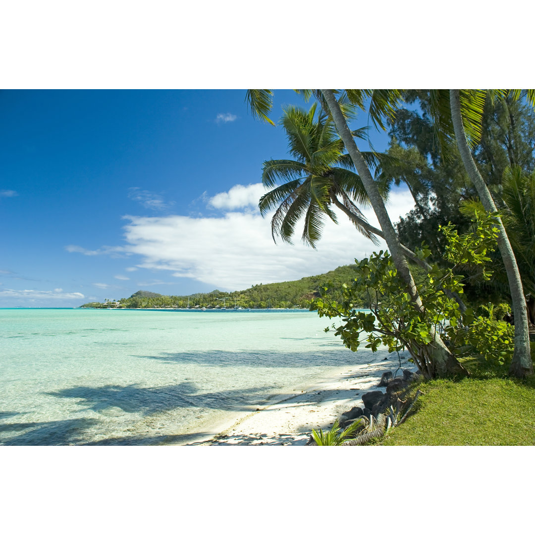 Schöner tropischer Strand von Tulissidesign - Leinwandbild