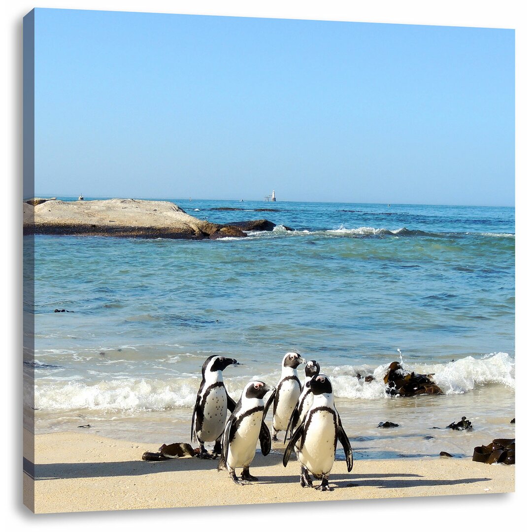 Leinwandbild Pinguine am Strand