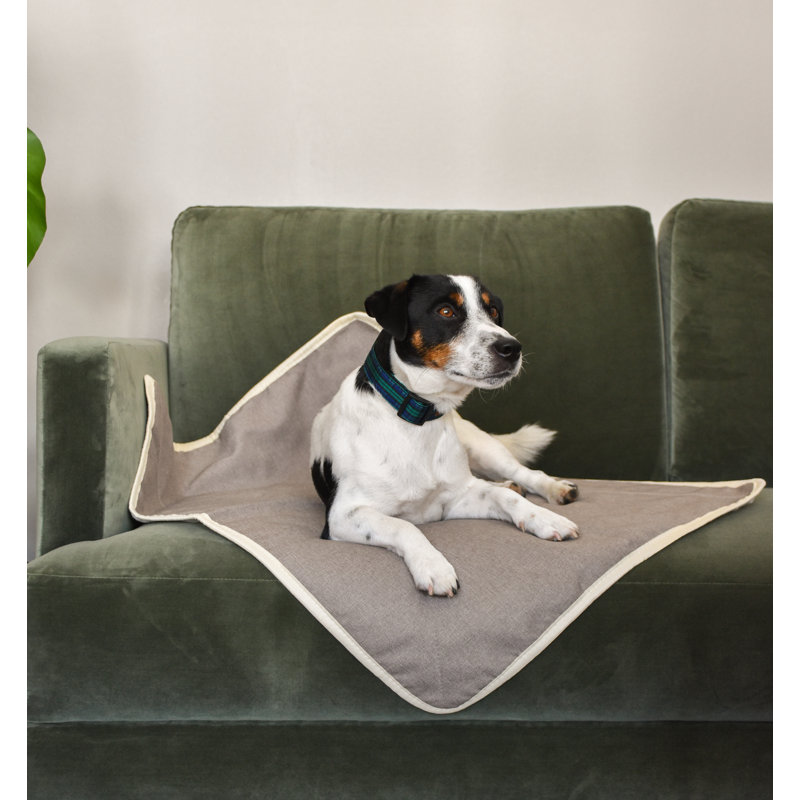 Pet Blanket, Beige, Large (140x100cm)