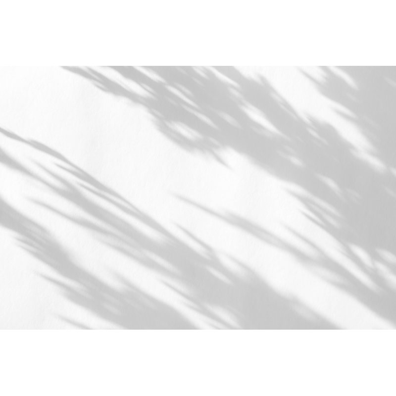 Shadow Of The Leaves - Wrapped Canvas Print, 30cm H x 46cm W x 3.8cm D