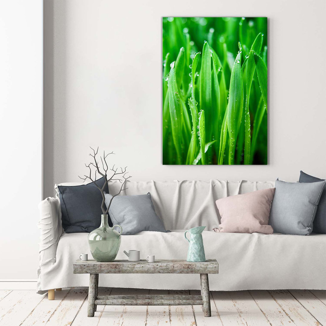 Blades Of Grass - Kunstdrucke auf Leinwand