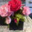 Customer photo 2 of 3