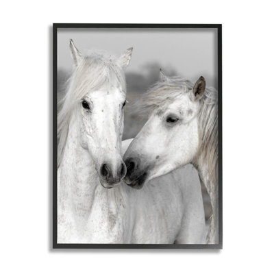«White Horse Kiss», giclée par Danita Delimont