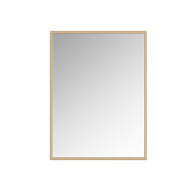 Metal Flat Wall Mirror with Hooks