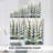 Pompom Botanical I -Gallery Wrapped Cavas-1604862018