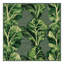  Tapis lavable légumes verts Collard-1753436311