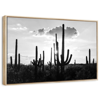 Arizona noir - Silhouettes de cactus