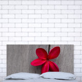 Upholstered Headboard