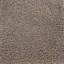 TEDDY CURLY THROW-100066492