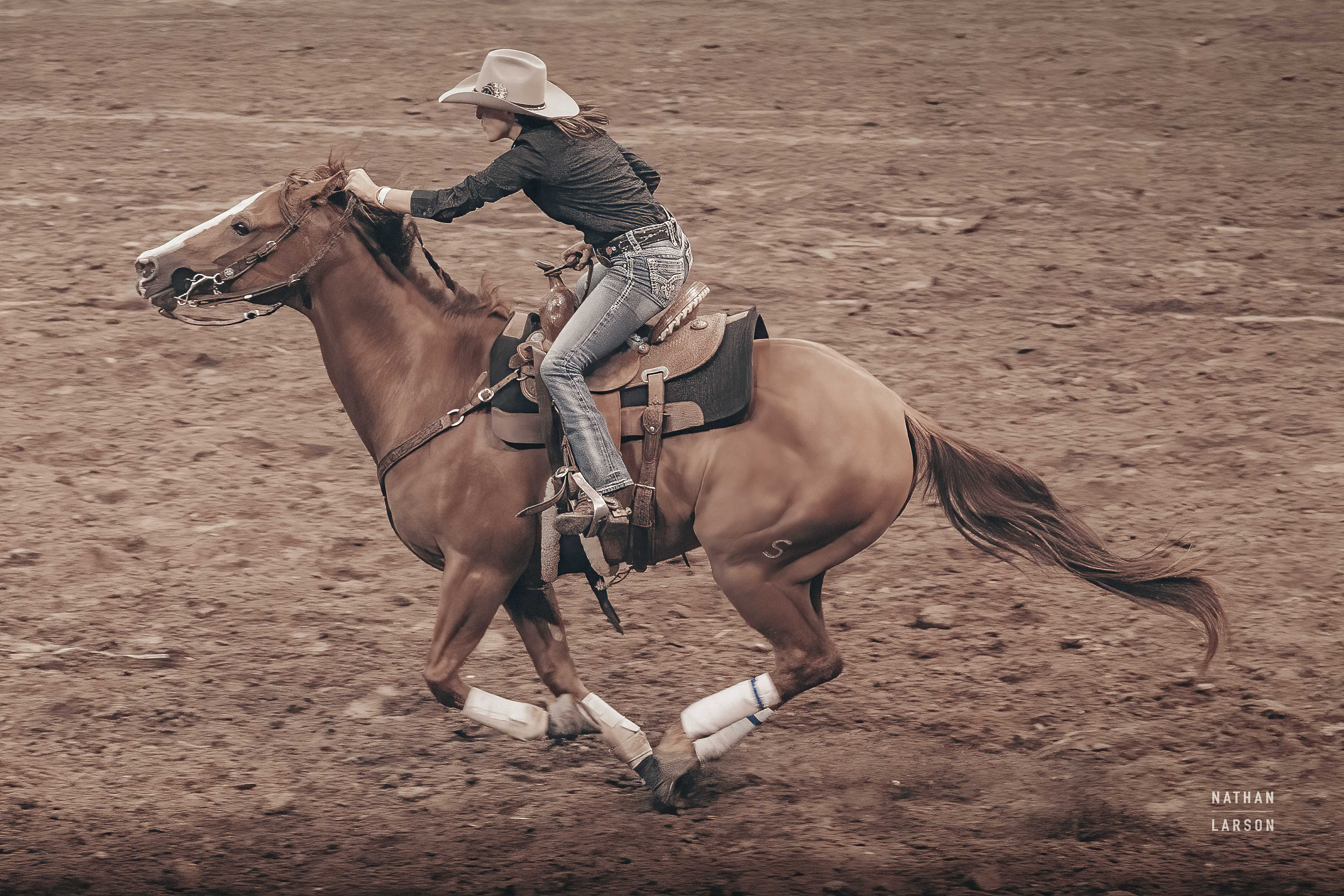 Rustic Brown Rodeo Union Rustic Rodeo II | Wayfair