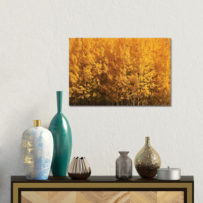 Aspen Gold by Brian Wolf - Gallery-Wrapped Canvas Giclée on Canvas