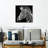 Brampt Zebra Stripes Pattern III-109395057