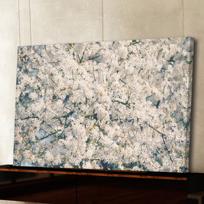 «In Full Bloom» par Robin Delean, reproduction d'art sur toile tendue