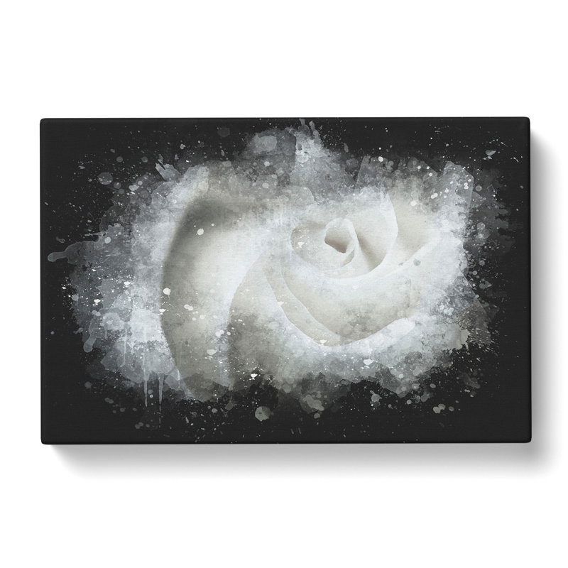 White Rose - Wrapped Canvas Print, 60cm H x 91cm W x 3cm D