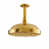 Supercoat Brass
